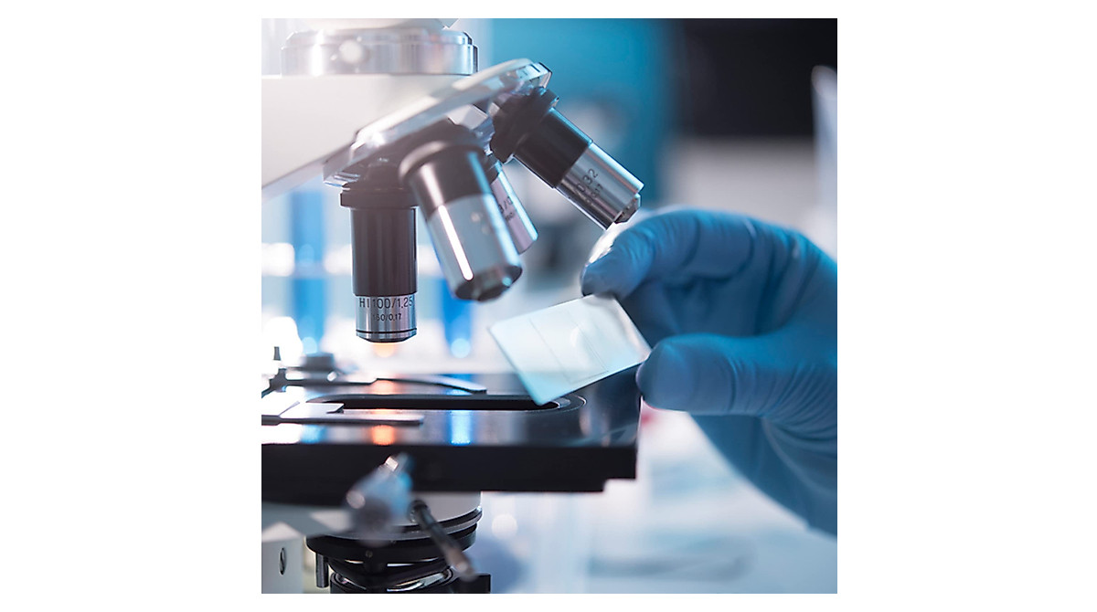 100 Pack Microscope Slides for Research & Education | GPJYYDS