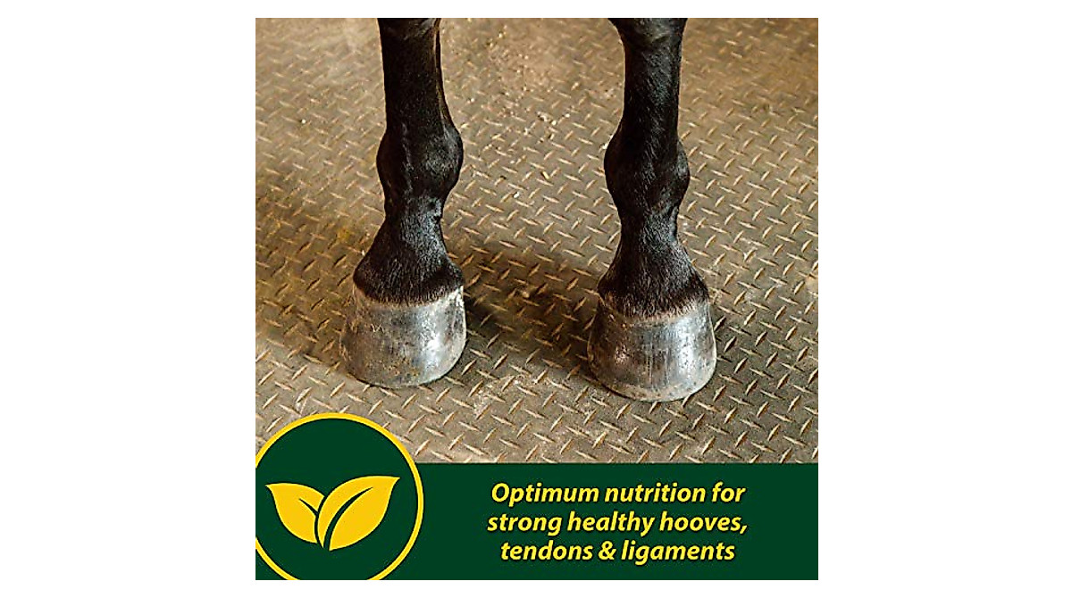 Farnam Horseshoer's Secret Hoof Supplements | Supports Strong Hooves ...
