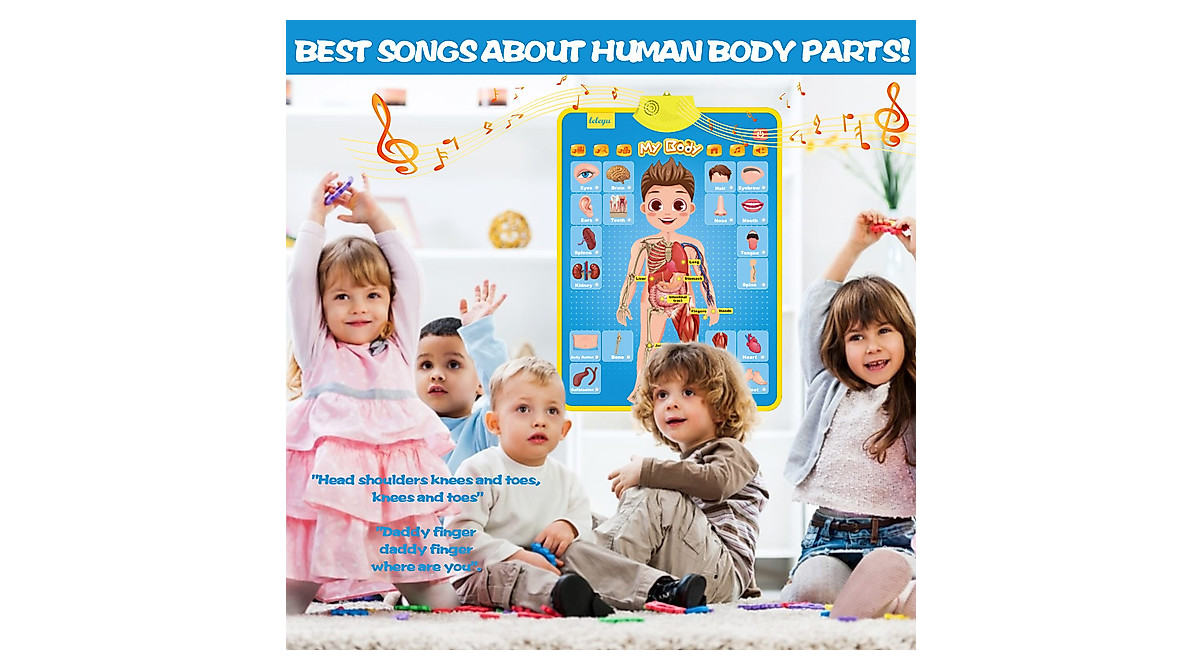 JOYLEARN My Body Educational Poster for Kids - Learn Body Parts & Organs
