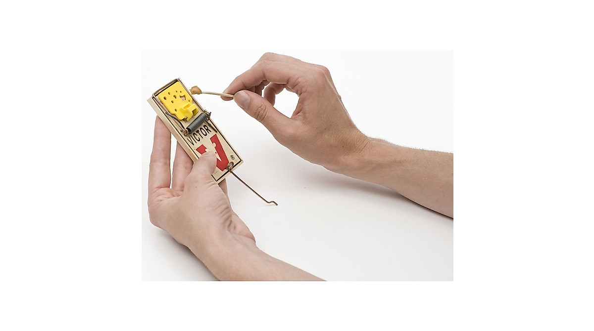 Victor Easy Set Mouse Trap – 2 Pack for Reliable Mouse Control