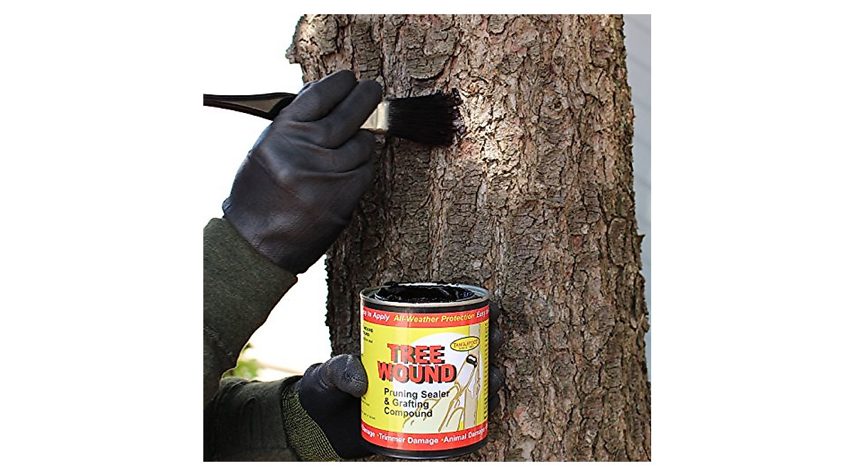 Tanglefoot Tree Wound Sealer: Protect & Heal Trees