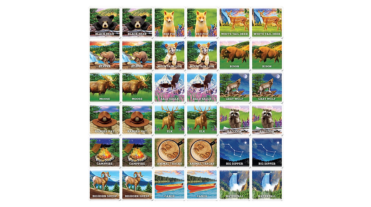 Jr Ranger Matching Game - Fun Family Game for Kids