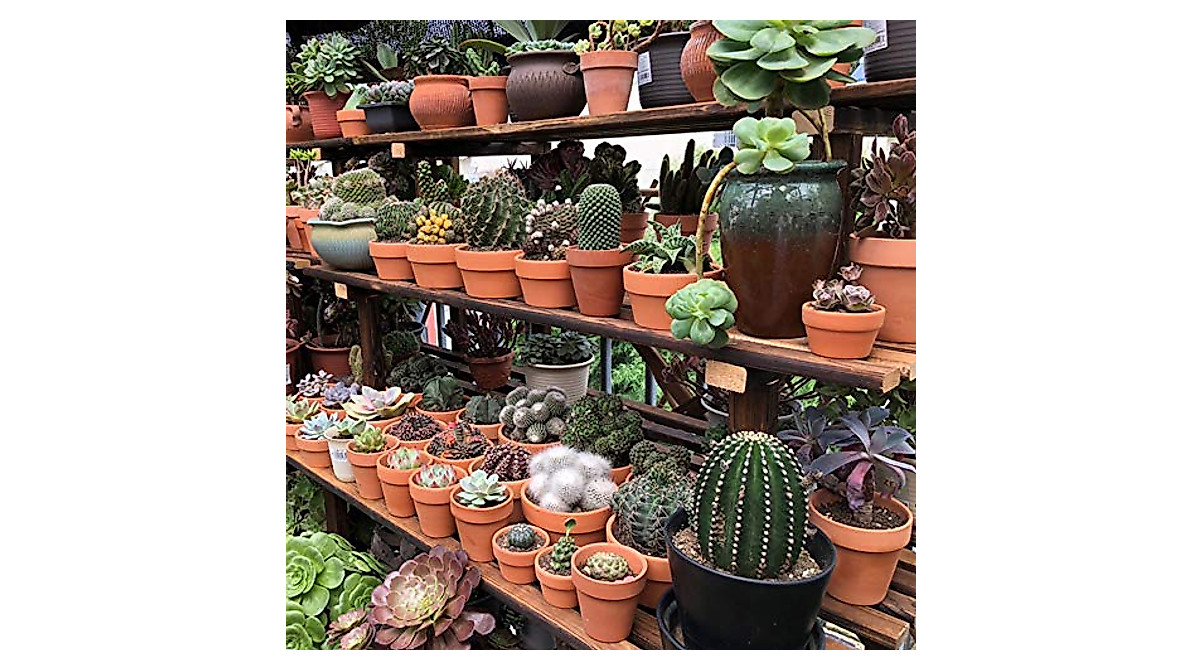 Yishang 6-Inch Terracotta Planters for Healthy Plants