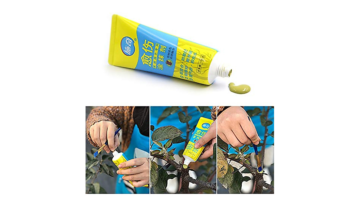 Y-YUNLONG Tree Wound Bonsai Sealant - 100g Pruning Compound Sealer