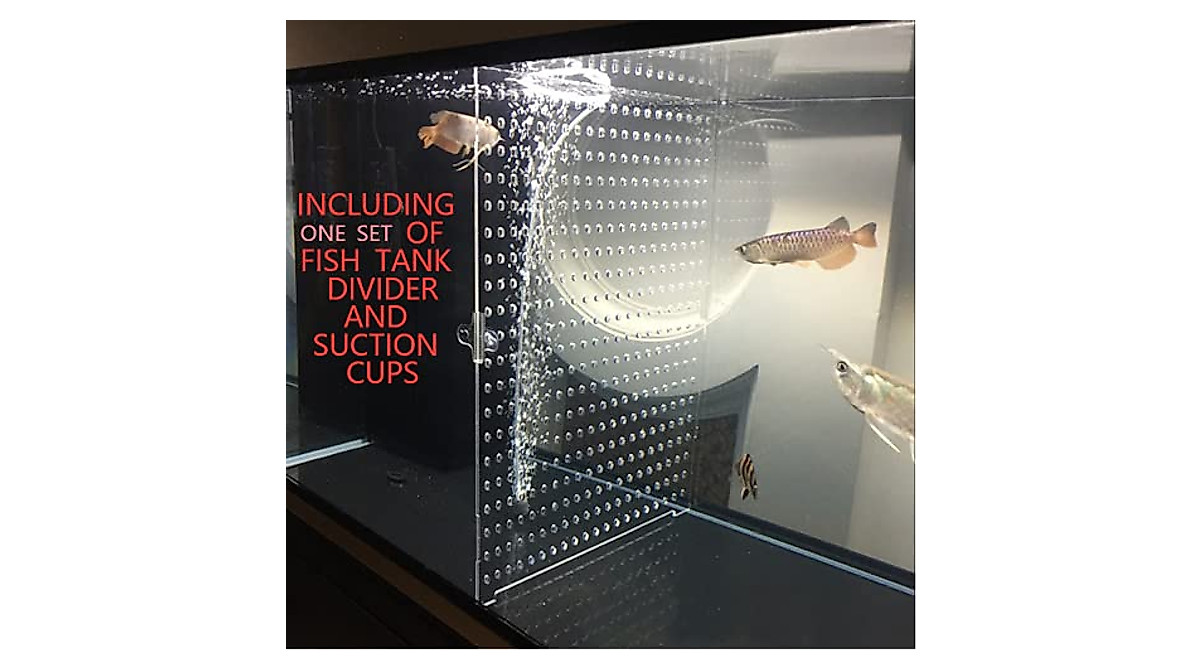 Photo inspiration: Visual Reference: DIY Clear Fish Tank Divider Set
