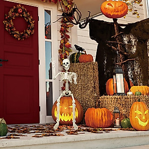 36-Inch Halloween Skeleton Decor - Realistic Posable Skeleton Prop