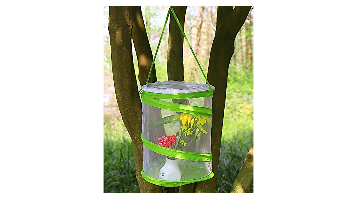 Explore Butterfly Habitats with RESTCLOUD Pop-up Insect Cage
