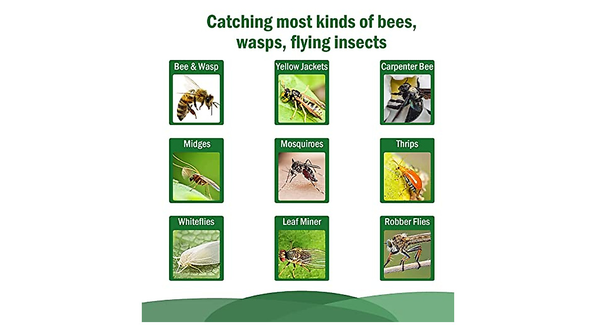 4 Pack Wasp Traps for Effective Outdoor Pest Control