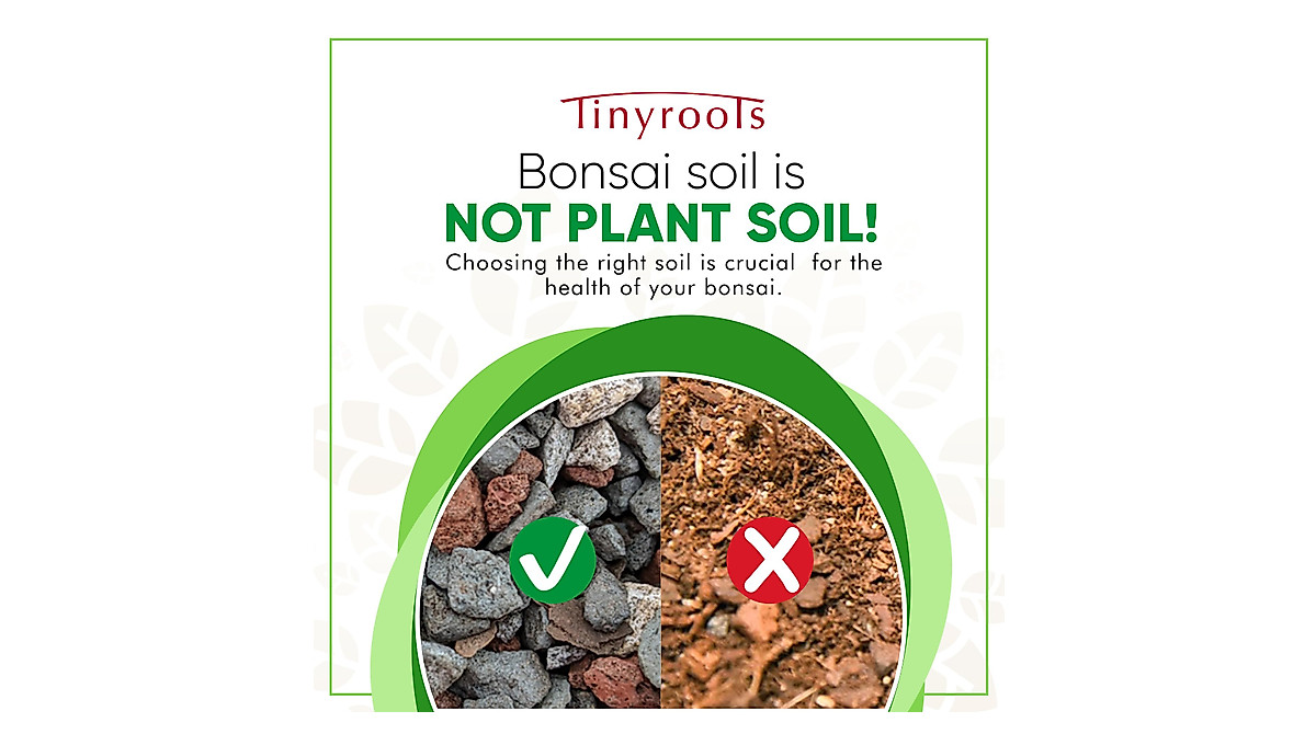 Bonsai Outlet All-Purpose Bonsai Soil Mix - Ready to Use, 2.5 Gallons