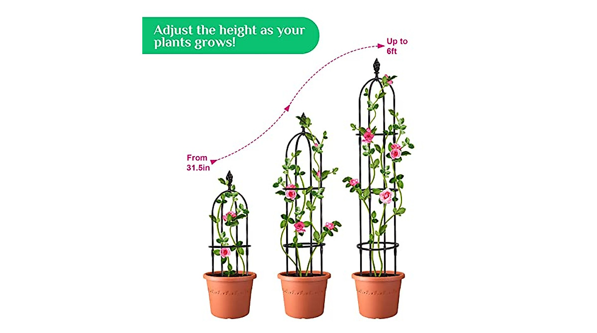 Lalahoni 6ft Garden Trellis for Climbing Plants