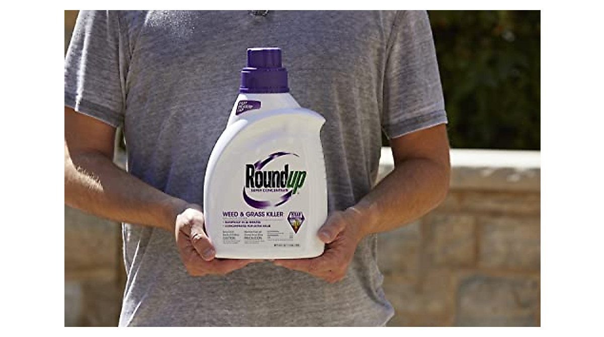 Roundup Super Concentrate Weed & Grass Killer | Fast & Effective Control