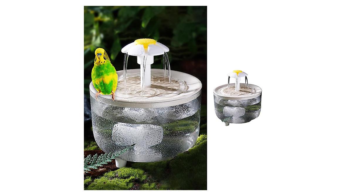 Indoor Bird Bath with Circulating Filter Fountain