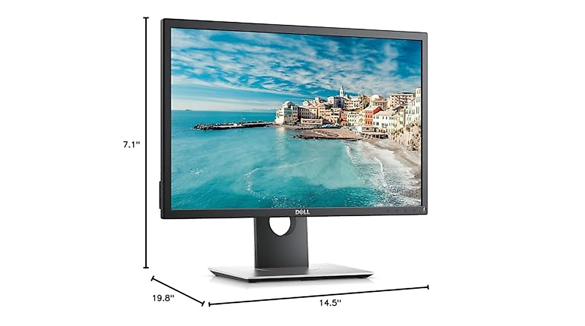 Dell P2217 22
