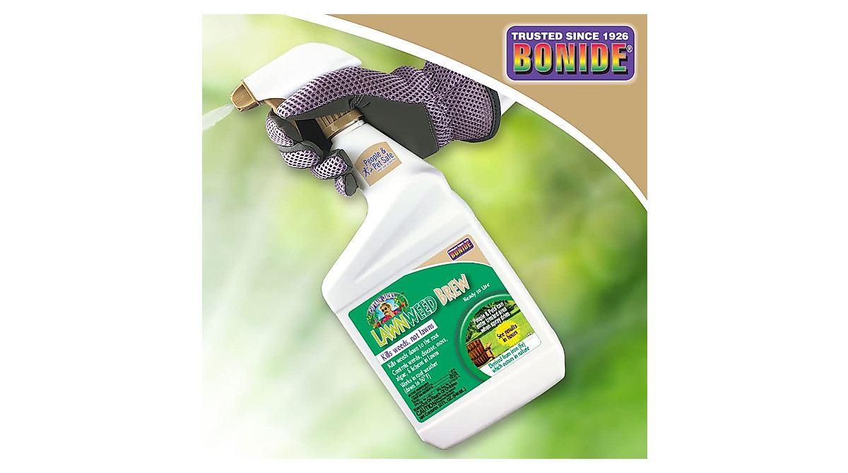 Bonide Captain Jack's Lawnweed Brew Spray | Fast-Acting Weed Control