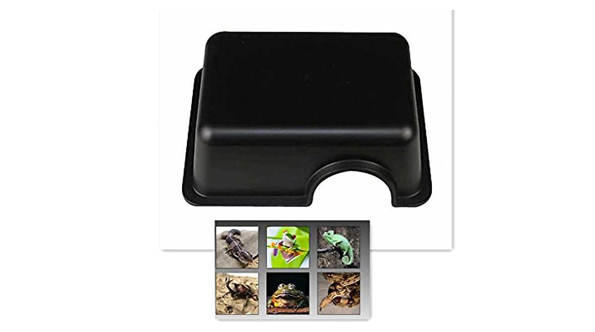 Reptile Hide Box Small Animal Hideaway for Snakes & Lizards