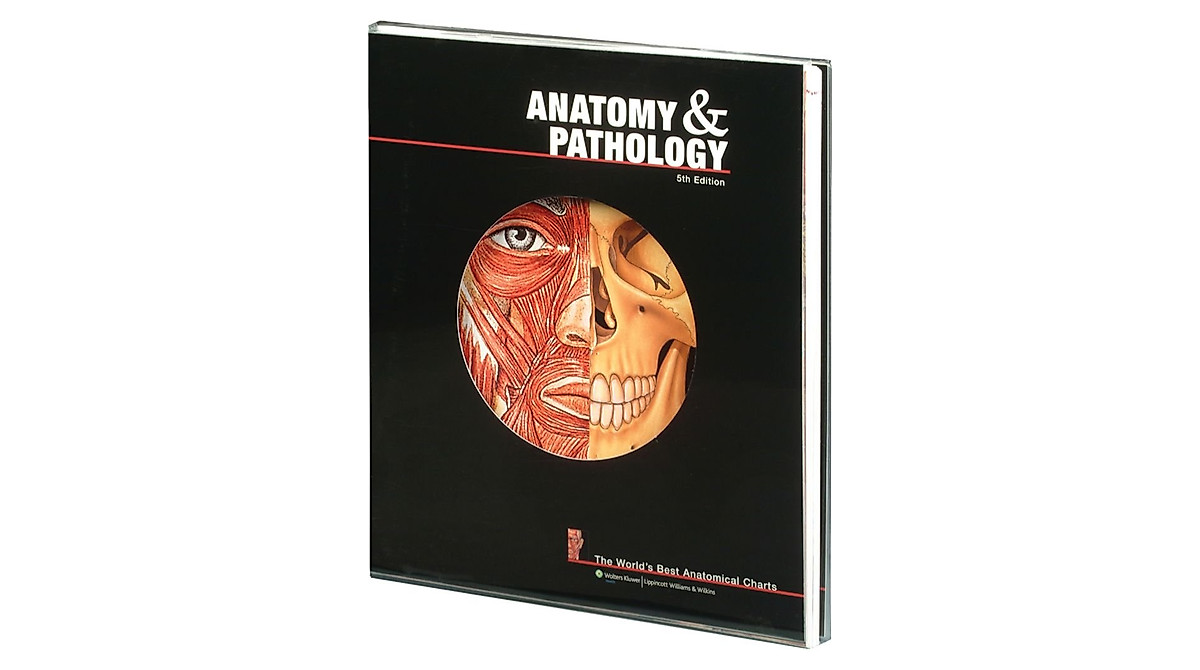 Anatomy & Pathology Anatomical Charts - Essential Medical Reference