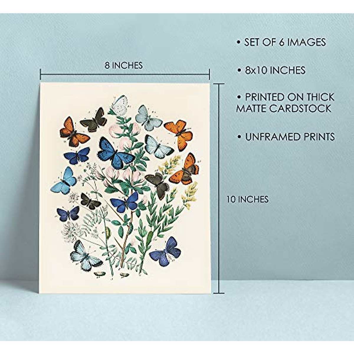Vintage Butterfly Wall Art Prints - Cottagecore Decor Set of 6