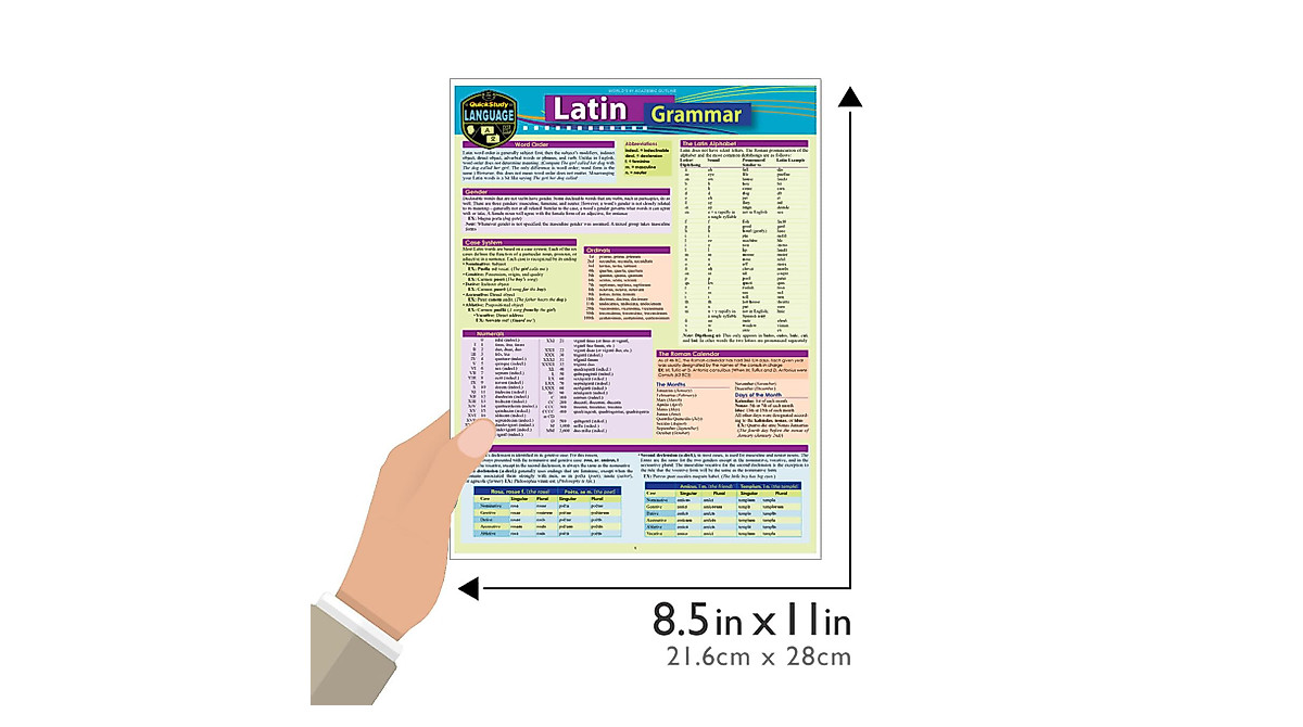 Latin Grammar QuickStudy Guide: Easy Language Learning