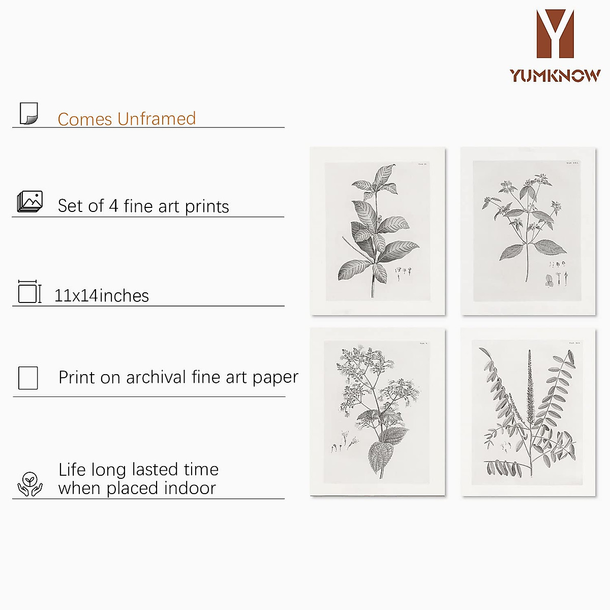 Vintage Flower Wall Art Prints - Set of 4 Home Decor