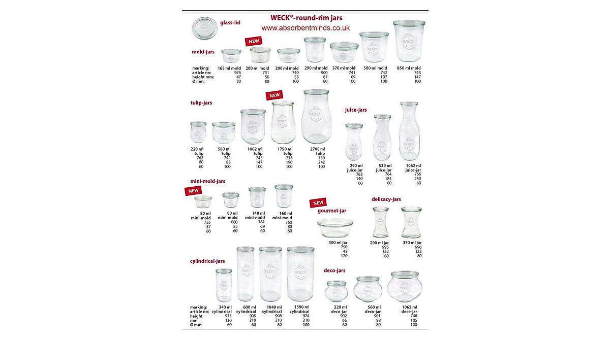 12 Weck Jar Stainless Steel Clips for Home Canning