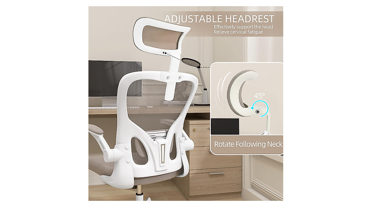Monhey Ergonomic Office Chair with Lumbar Support & 2D Armrests
