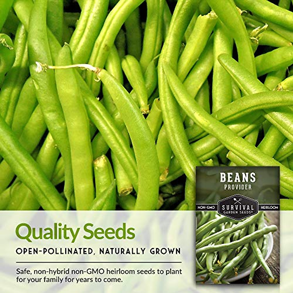 thumbnail interactive-video image 1 of Provider Stringless Green Bean Seeds – Non-GMO, Cool Soil Tolerant, 50 Days (Papadennis) 1 of 4