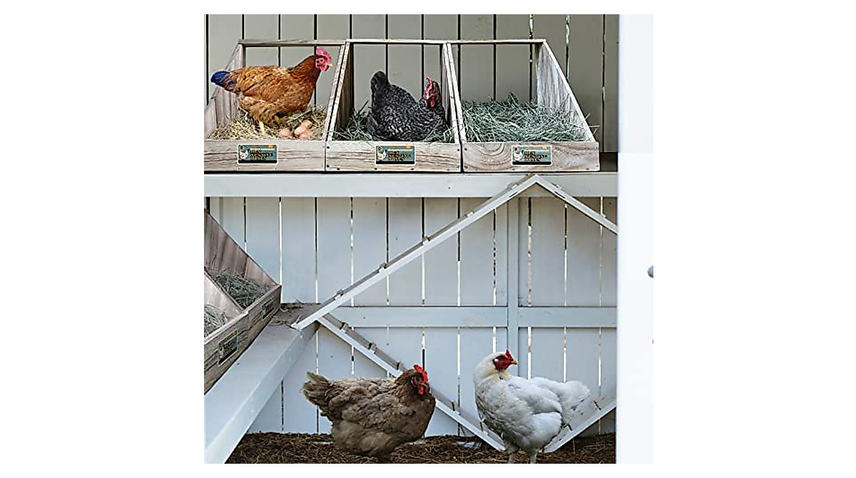 Premium Single Compartment Chicken Nesting Box for Up to 5 Hens