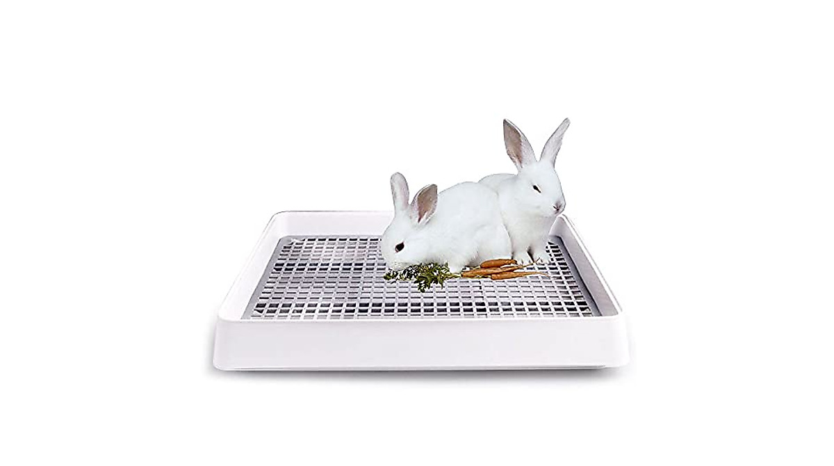 Extra Large Rabbit Litter Box - Keep Pets Clean