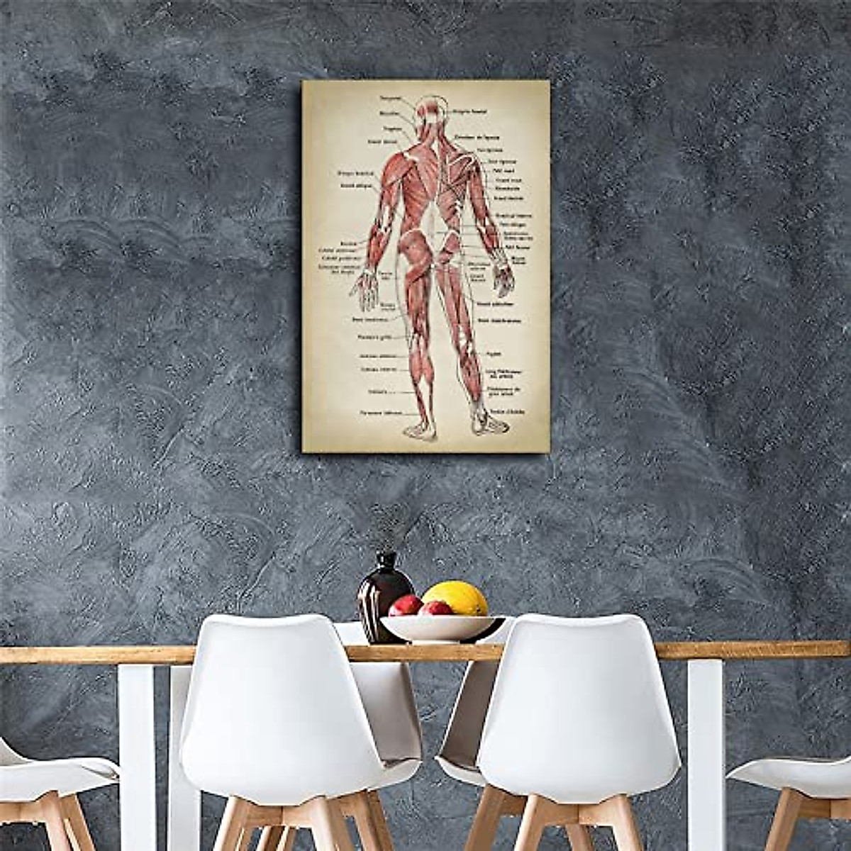 Anatomy Print - Muscular System Chart Canvas Art