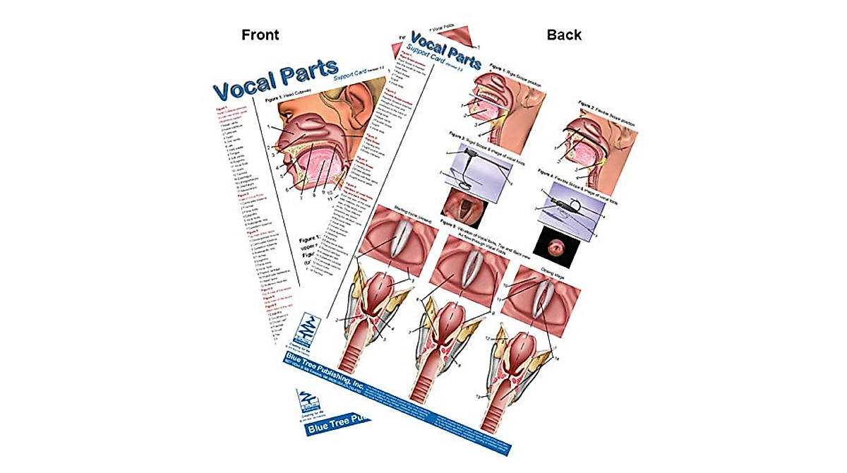 Vocal Anatomy Chart with Software for Speech & Singing Education