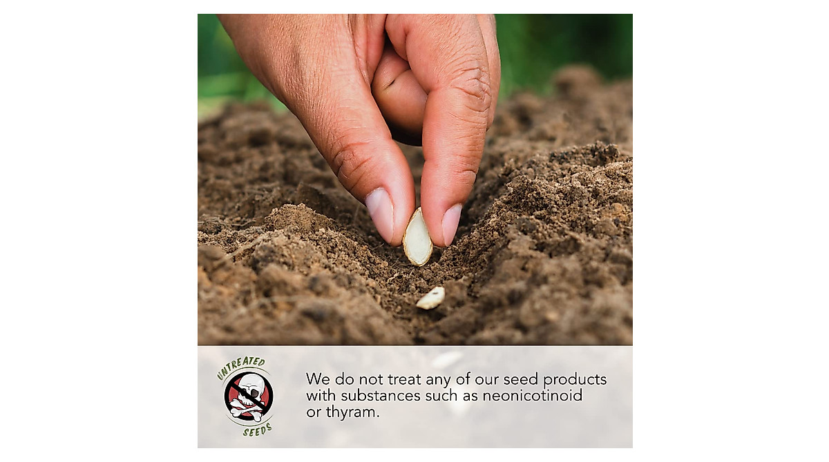 Multicolor Radish Seed Collection - Non-GMO Heirloom Varieties