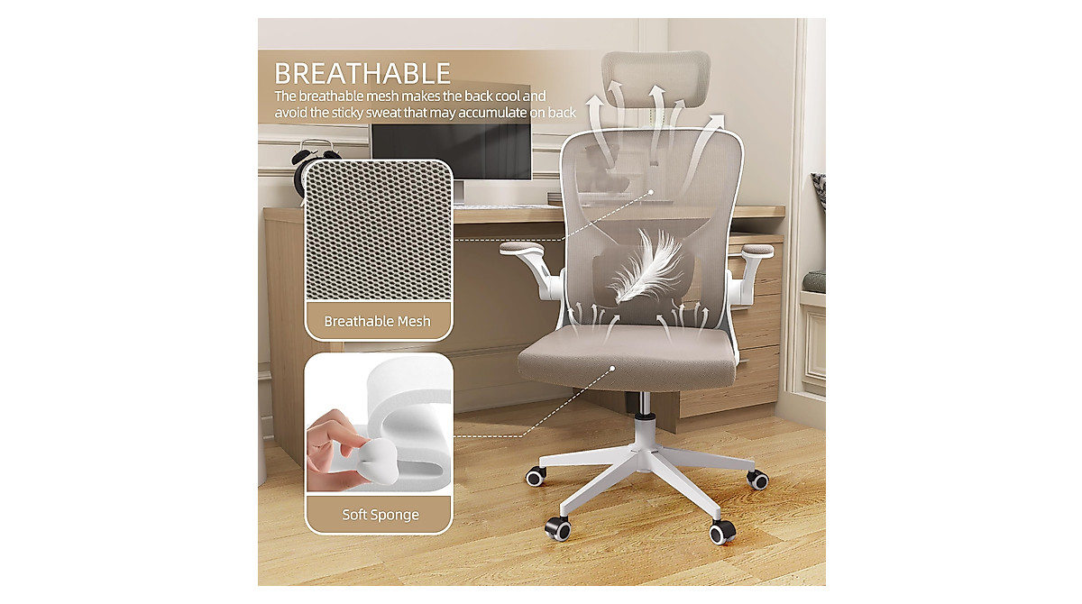 Monhey Ergonomic Office Chair with Lumbar Support & 2D Armrests