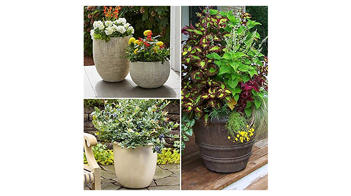 20 Pack Invisible Plant Risers for Heavy Pots - USA Made