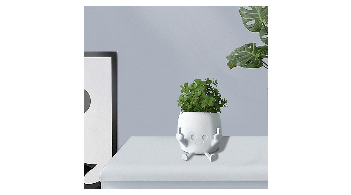 SXIDPDA Funny Smiling Plant Pot for Indoor & Outdoor