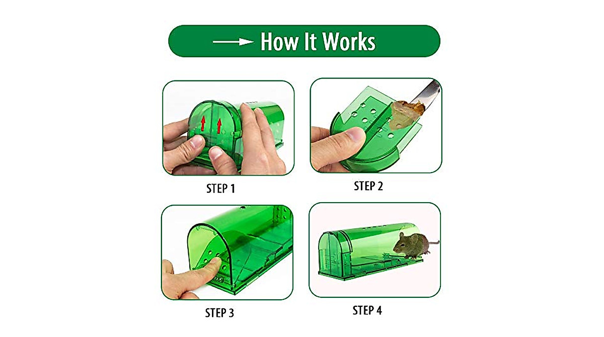 Humane Mouse Trap - Safe & Effective Rodent Solutions