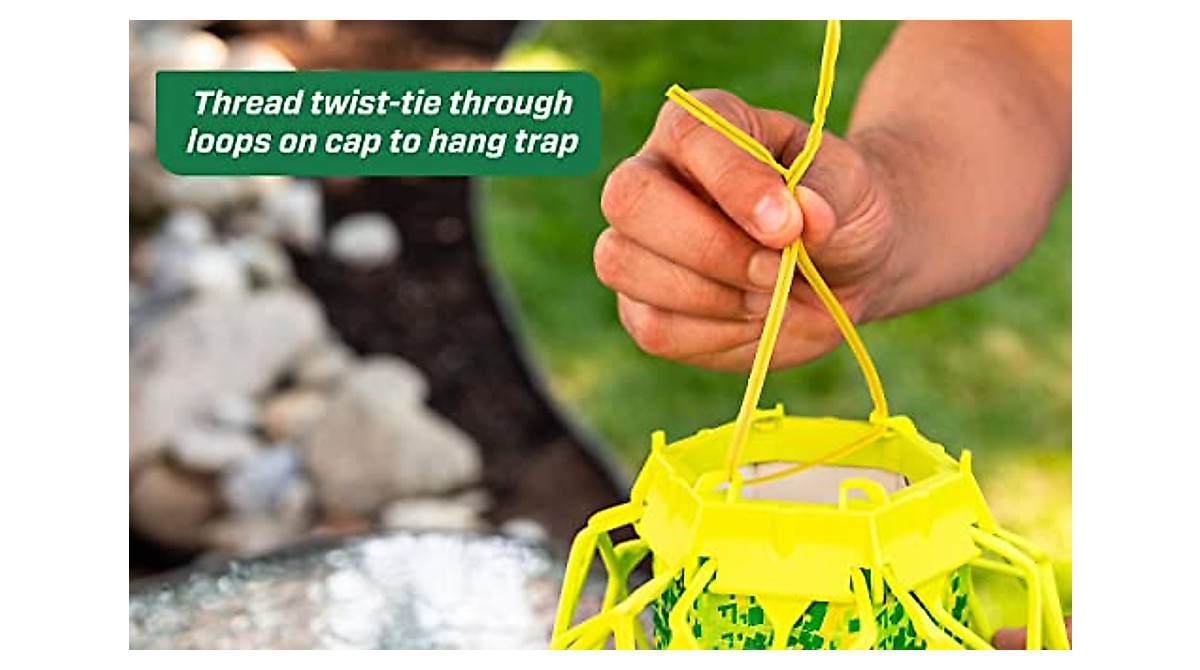 RESCUE! TrapStik 3-Pack for Wasps & Carpenter Bees - Eco-Friendly Pest ...