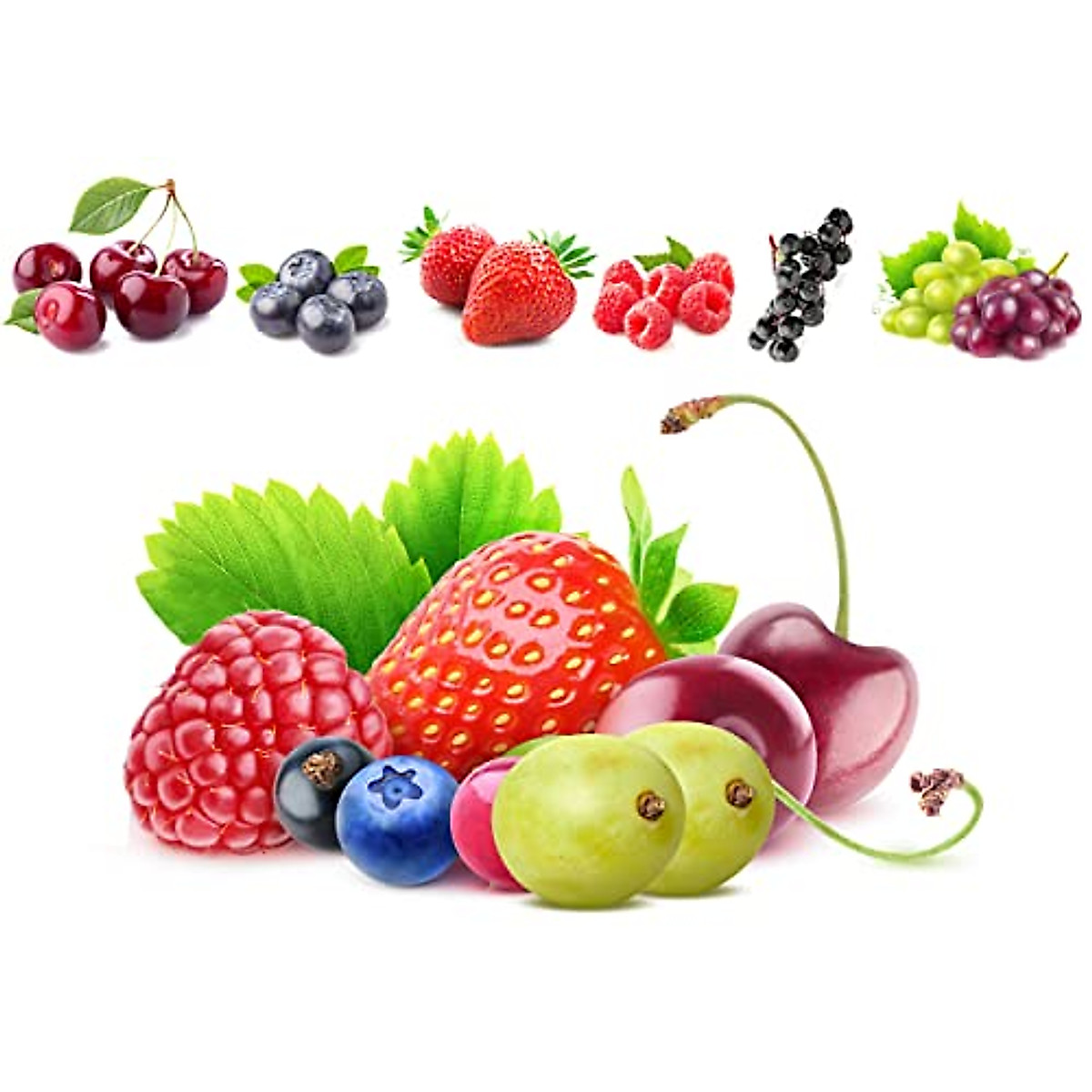 Mix Fruit Seeds: 560+ Non-GMO For Your Home Garden