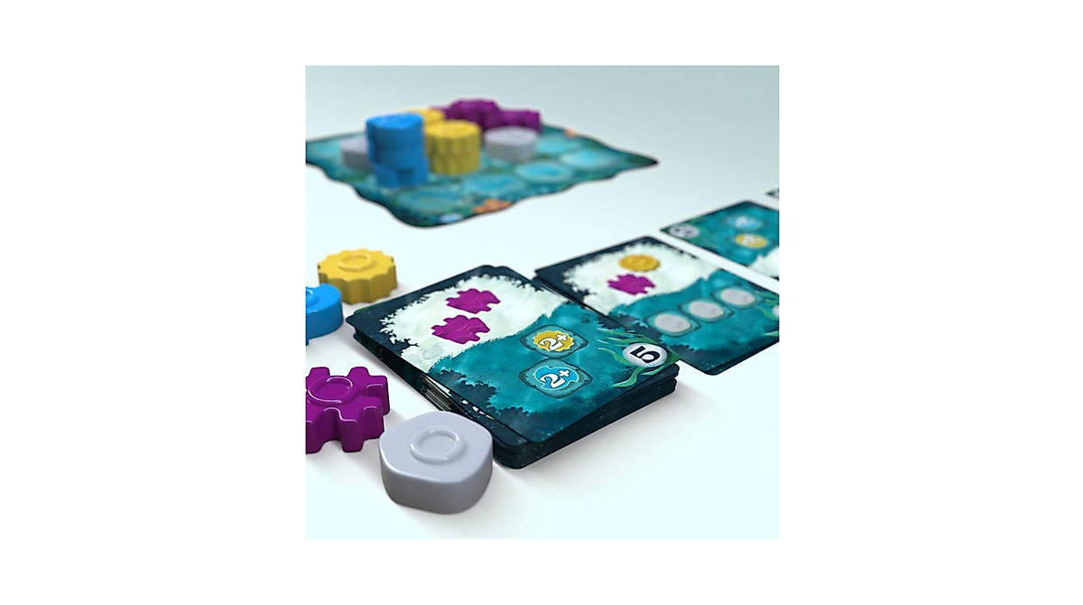 Reef Board Game Second Edition - Fun Family Strategy Game for Kids & Adults