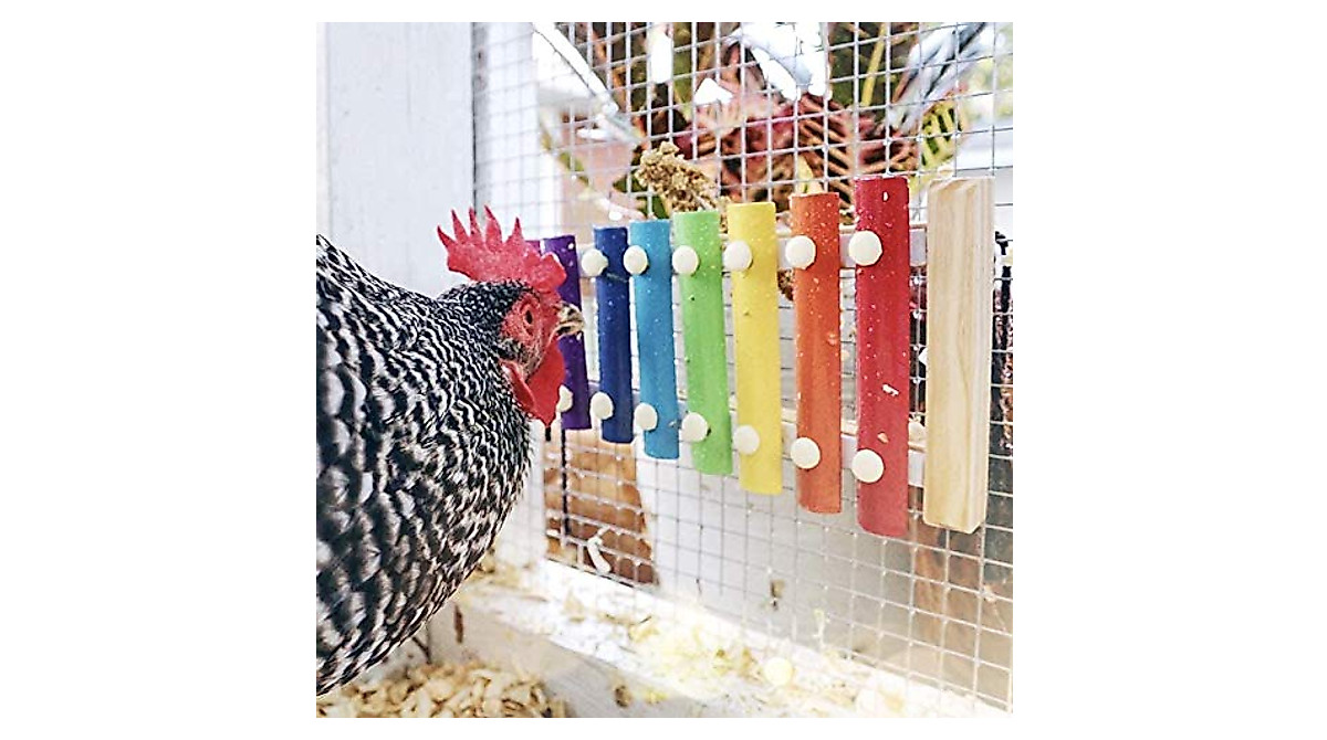 Chicken Xylophone Toy - Fun Bird Enrichment & Mental Stimulation