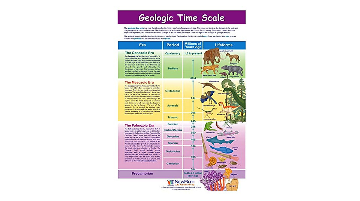 Geologic Time Scale Visual Learning Guides - Set of 5