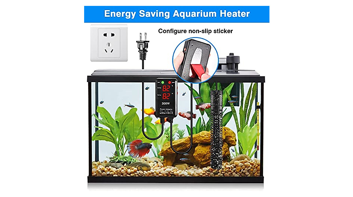 Beautiful view of Heating A 20 Gallon Aquarium Safely