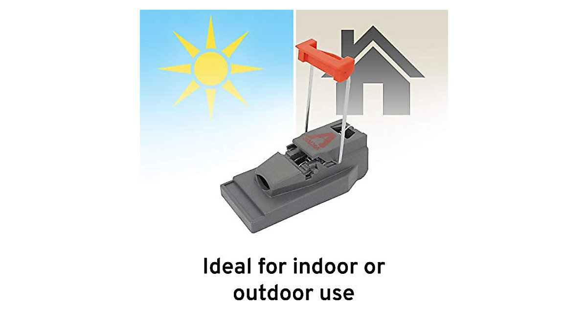 Victor M123 Quick-Kill Mouse Trap 3-Pack for Humane Rodent Control