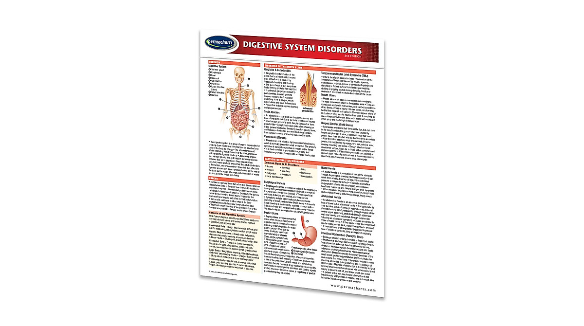 Digestive System Disorders Quick Reference Guide | Permacharts
