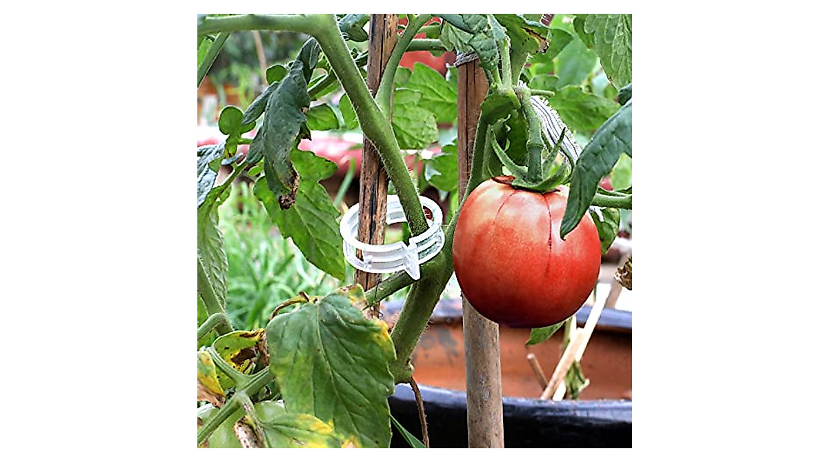 200 Pcs Garden Tomato Clips for Support & Healthy Growth