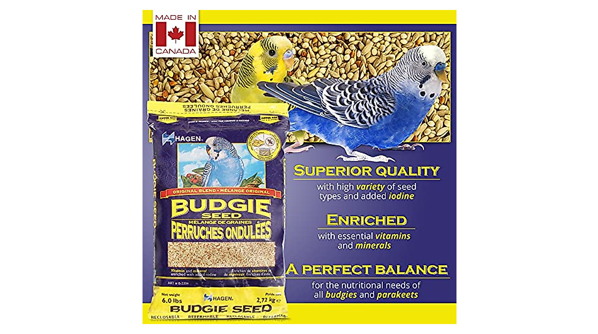 High-Quality Budgie Seed for Healthy Parakeets - 6 lbs