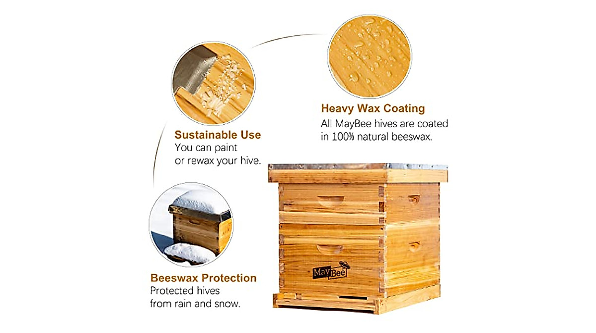 Bee Hive Starter Kit for Beginners | Durable & Complete
