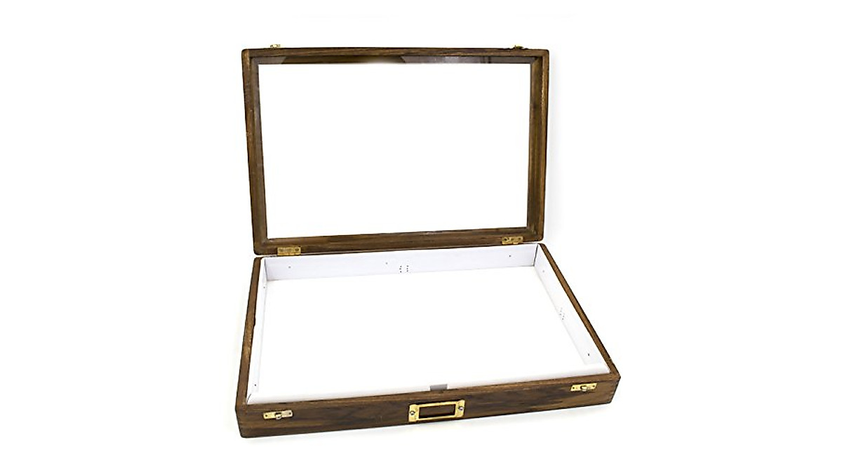 Polished Wood Insect Storage Box - Display Your Collection