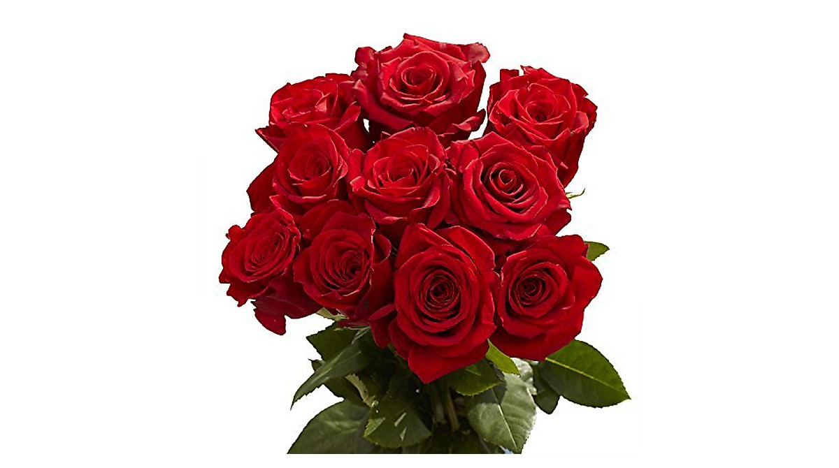 50 Red Roses - Fresh Long-Stem Flowers for Any Occasion
