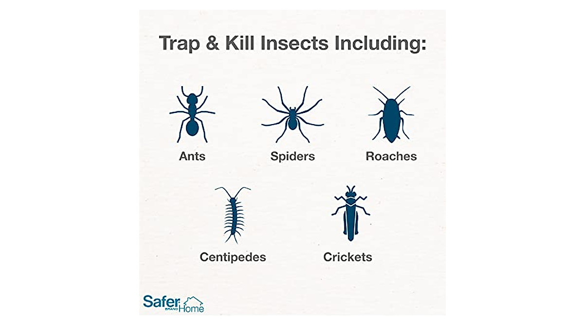 Safer Home Indoor Pest Traps | Safe & Chemical-Free Insect Control