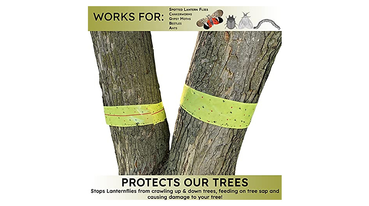 W4W Lantern Fly Tree Trap - 4 Rolls for Effective Protection